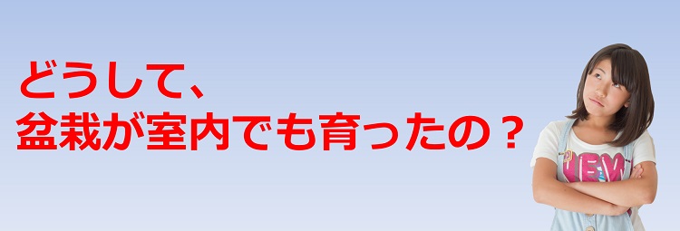 为什么室内的盆栽也能生长呢？