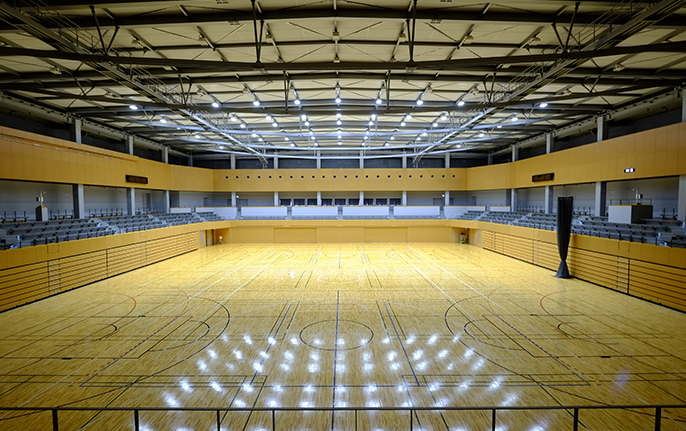 体育馆照明的示意图